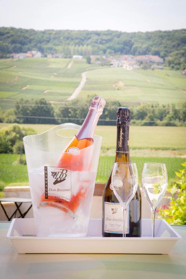 Domaine Bacchus Bed and Breakfast Reuil-sur-Marne Εξωτερικό φωτογραφία