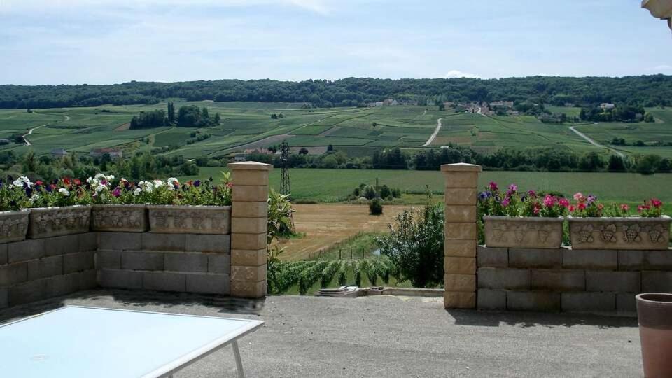 Domaine Bacchus Bed and Breakfast Reuil-sur-Marne Εξωτερικό φωτογραφία